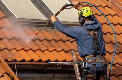 Démoussage et hydrofuge de toiture à Blannay